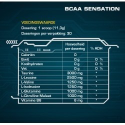 DEDICATED BCAA Sensation 351 gram 